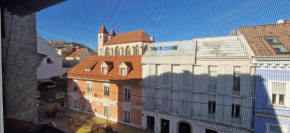 Ferienwohnung Moßhammer